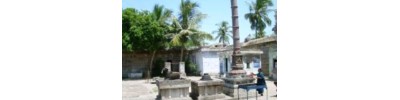 234. திருப்புறவார் பனங்காட்டூர்